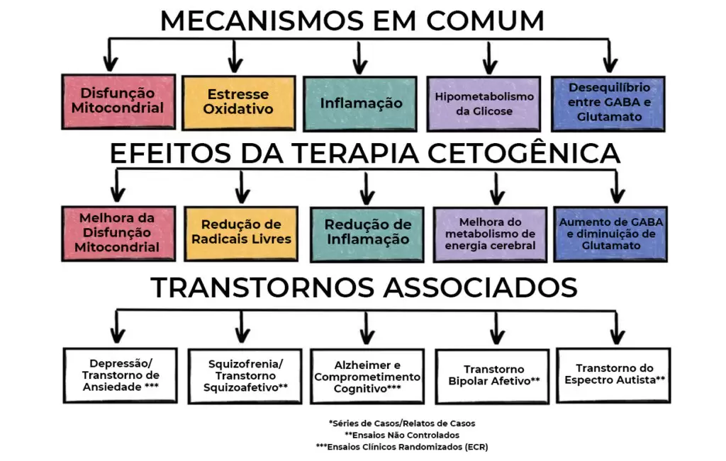 Diagrama dos mecanismos comuns em transtornos neuropsiquiátricos, como disfunção mitocondrial, inflamação, estresse oxidativo e hipometabolismo da glicose, e os efeitos positivos da dieta cetogênica nesses processos